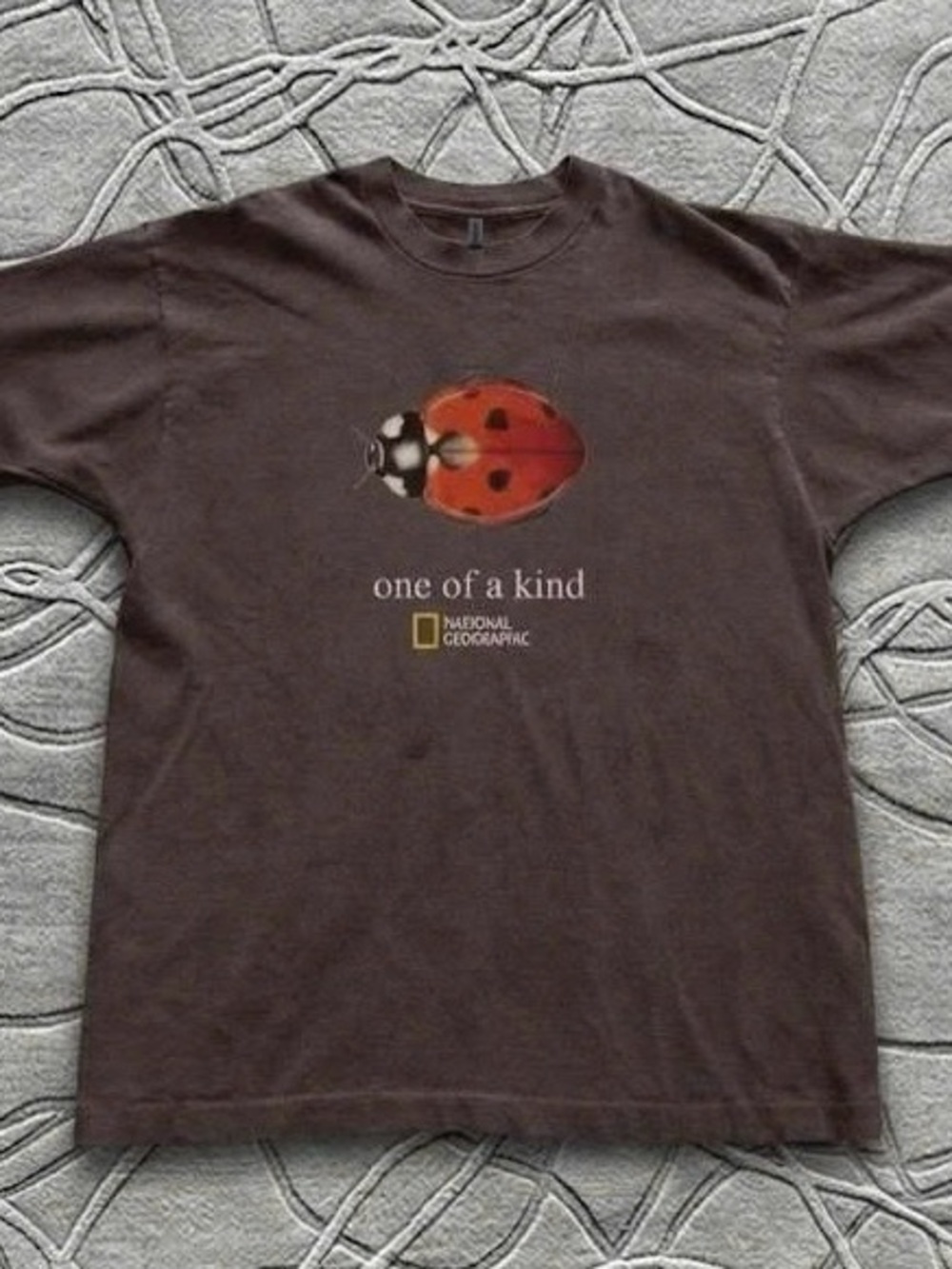 National Geographic Brown Tee with Red Ladybug Graphic
